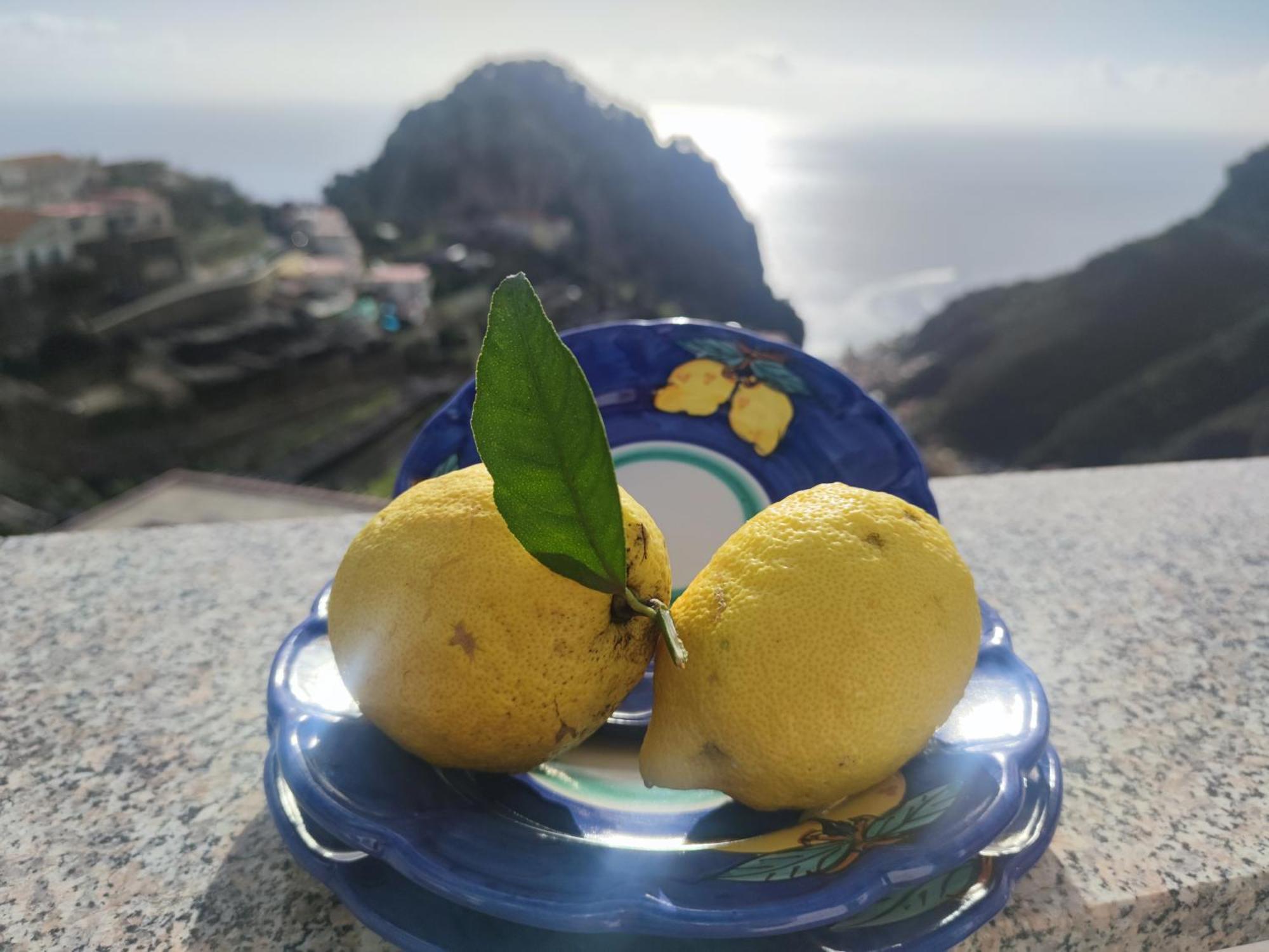 Terrazza Belvedere A Pontone - Amalfi Coast Habitación foto